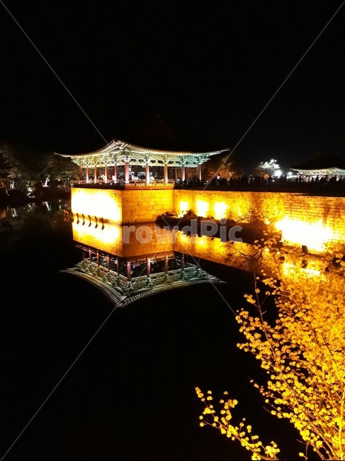 경주,물,반사,빛,밤,호수,야경,경치,풍경,나무,개나리,gyeongju,water,reflaction,lake,night,view,tree,building,건물,architecture,건축물