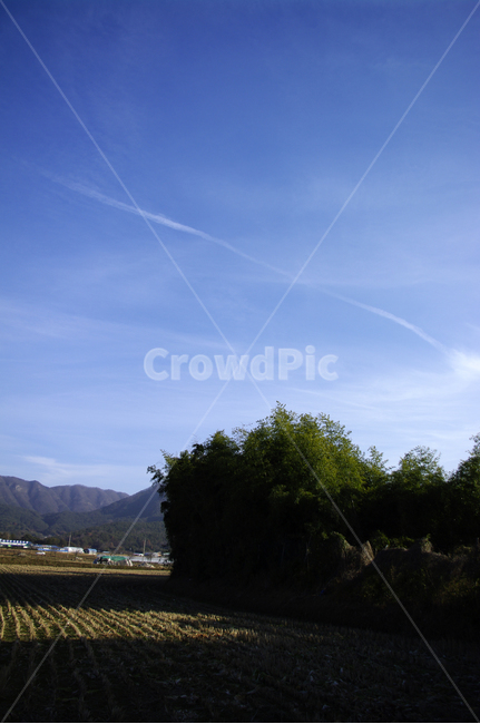 하늘,나무,논,풍경,산,시골,자연,풍경,nature,landscape,outdoors,옥외