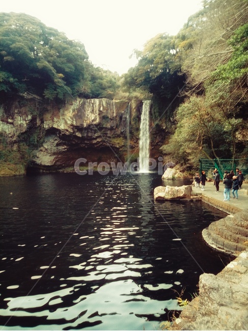 천지연,제주도,천지연폭포,폭포,산,자연,풍경,nature,landscape,한국자연풍경,한국자연경관,korea nature landscape,제주도,jeju,jeju island,water,물,person,사람,human,인간,outdoors,옥외,river,강