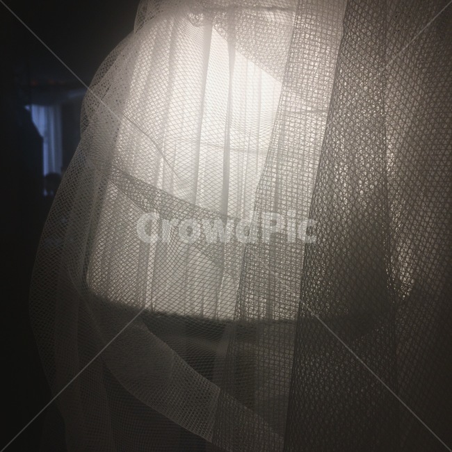 조명,레이스,빛,인테리어,카페