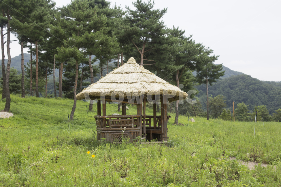 원두막,오두막,대나무,짚,지푸라기,쉼터,숲,나무,자연,풍경,자연,풍경,nature,landscape