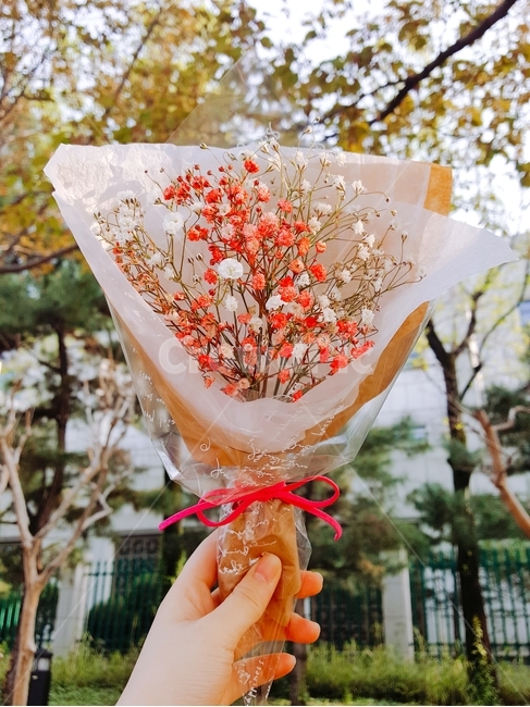 꽃다발,꽃,손,고백,봄,드라이플라워,flower,spring,blossom,꽃,flower,기념일,축하,anniversary,congratulation,celebrate,celebration