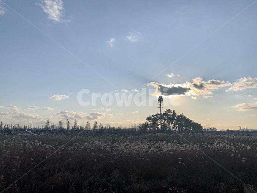 nature,자연,outdoors,옥외,들판,자연,풍경,nature,landscape
