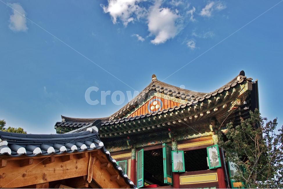 처마,사찰,봉은사,한옥,기와,불교사찰,삼성동