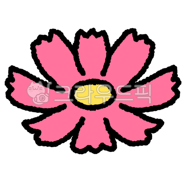 코스모스,가을,꽃,꽃잎,cosmos