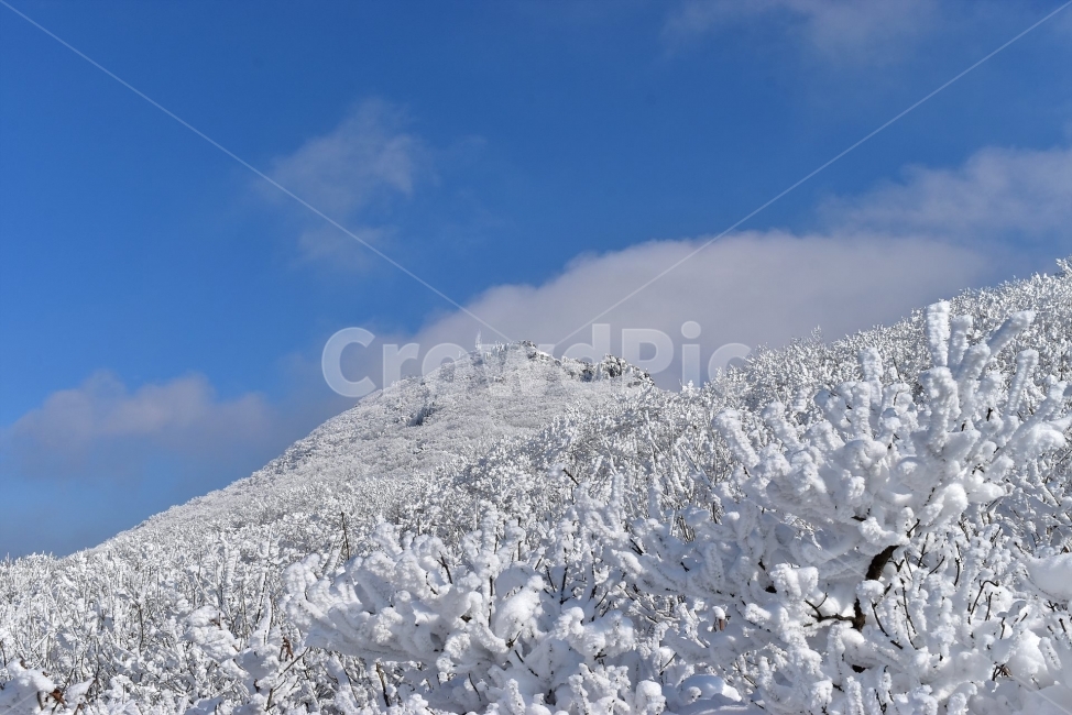 무등산,국립공원,풍경,힐링,산행,설경,상고대,서리꽃,서석대,입석대,안양산,백마능선,장불재,증심사,중봉,중머리재,천왕봉,지왕봉,Korea,National,Park,눈풍경,등산,주상절리,판타스틱,겨울왕국,겨울,지질공원,인왕봉,천지인,설국,2018년,1월,눈꽃,파란하늘,트레킹,winter,landscape,감성,아름다운,황홀한,장관,비경,선경,최고,사진,겨울,계절,winter,season,자연,풍경,nature,landscape,한국자연풍경,한국자연경관,korea nature landscape,outdoors,옥외,mountain,산,ice,얼음,mountain range,산맥