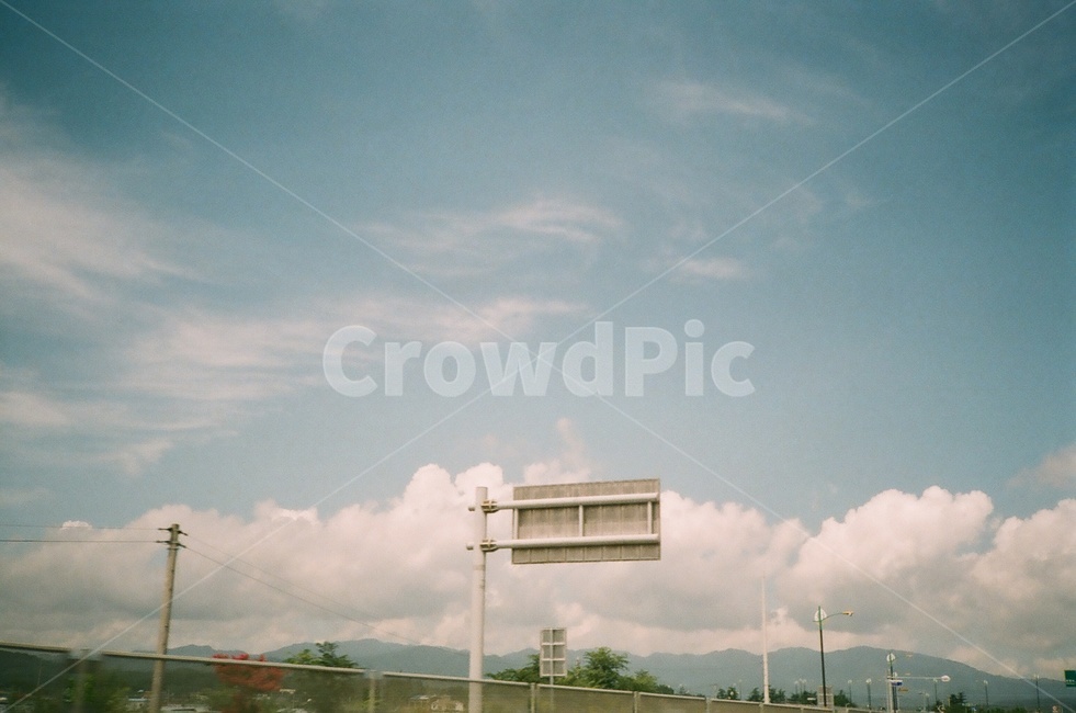 하늘,필름카메라,필름,나무,sky,filmcamera