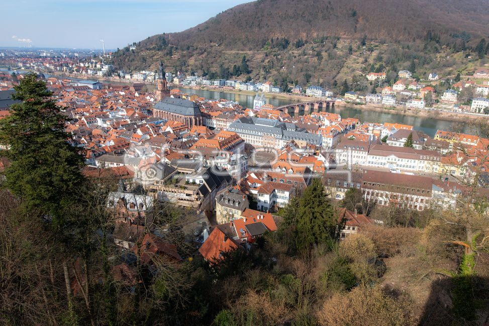 naturallandscape,germany,house,building,medievalcity,houses,cityscape,europe,educationcity,architecture,education city,roof,nature,medieval city,heidelberg,natural scenery,outdoors,river