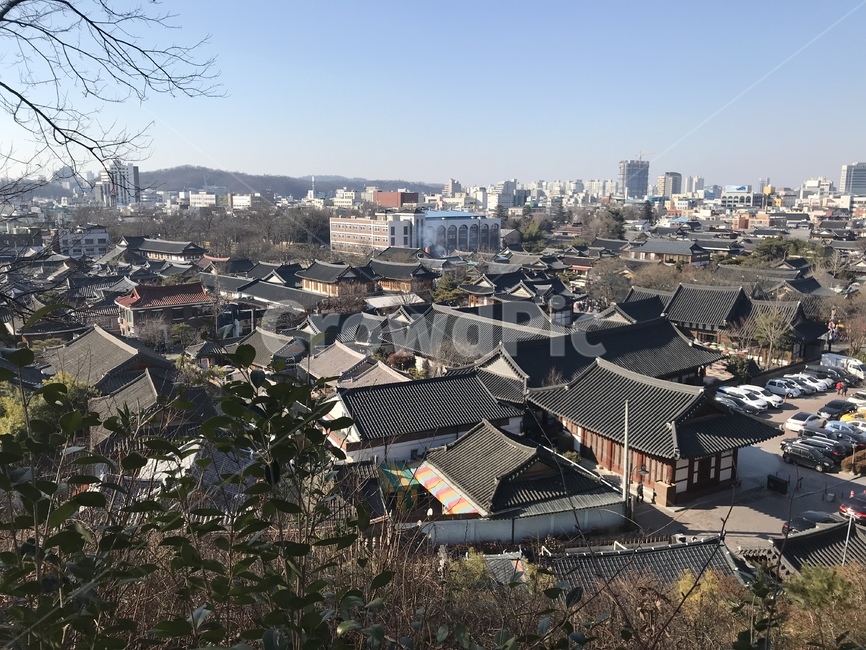 roof,지붕,기와,전주,한옥마을