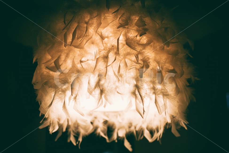 빛,전등,램프,깃털,무드등,light,lamp,feather,인테리어,실내디자인,interior design,사물,물건,오브젝트,thing,object,matter,감성,sensible,feeling