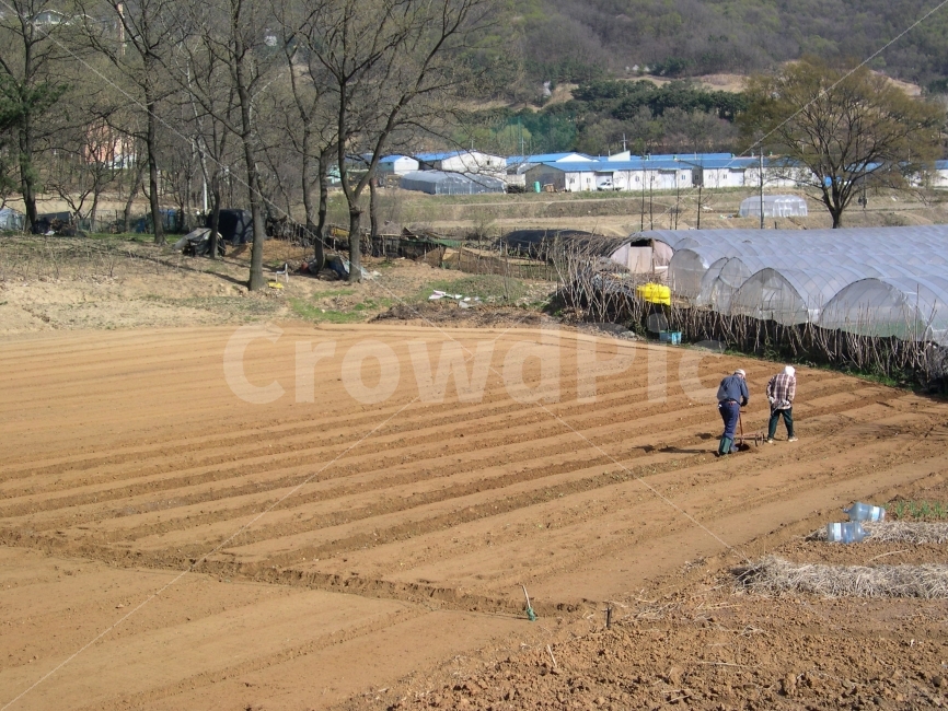 농사,밭,농업,농부,밭갈이,농장,주말농장,시골,전원,귀농,시골,마을,풍경,landscape,country,rural,town,사람,인물,인간,human,person,산업,industry,industrial,농업,농사,agriculture,farming,farming industry