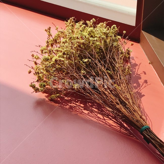 드라이플라워,꽃,꽃다발,감성,카페,분위기,차분한,햇살,햇빛,따뜻한,flower,dryflower,cafe,mood,봄,spring