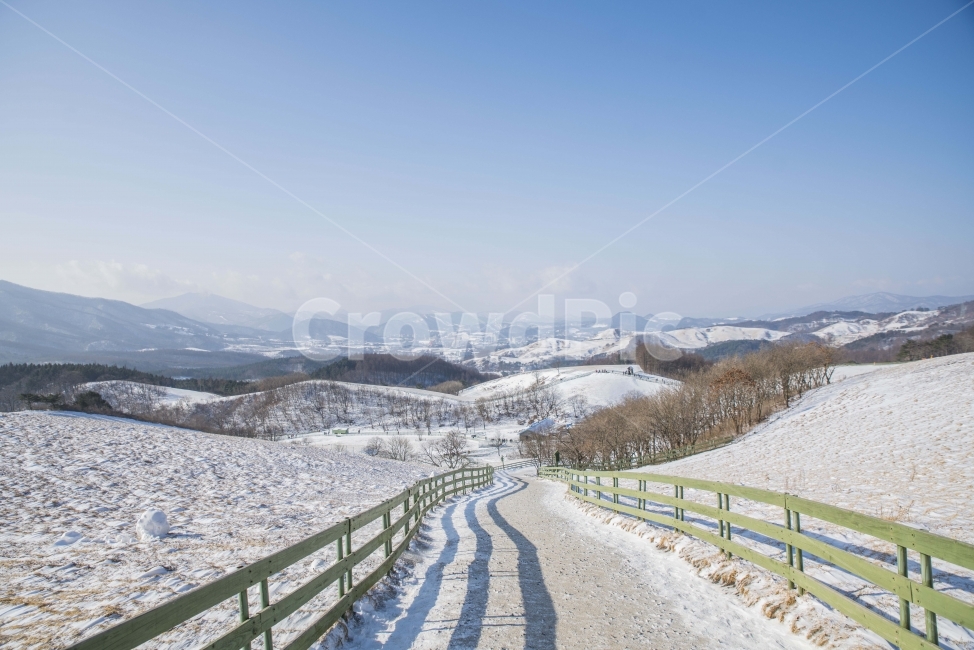 풍경,눈,겨울,양떼목장,강원도,겨울,계절,winter,season,자연,풍경,nature,landscape,road,도로,railing,난간