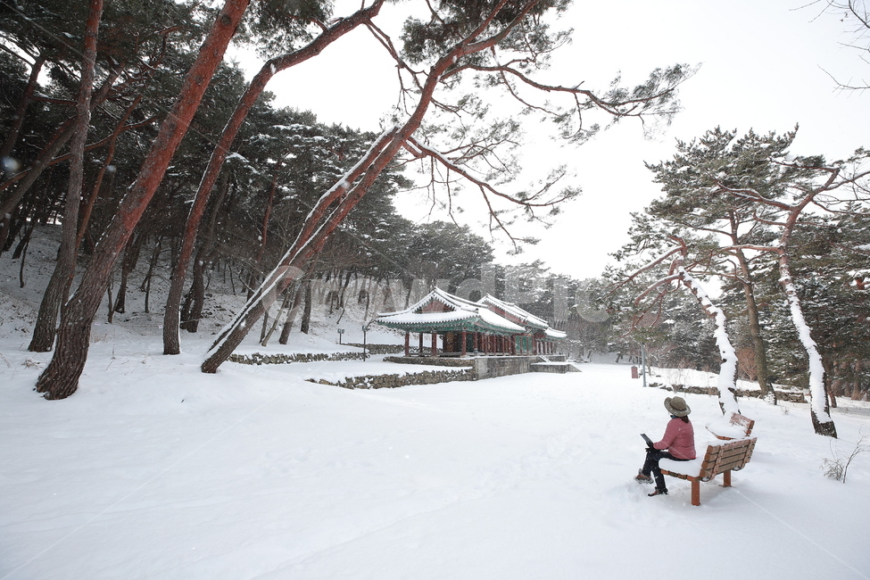겨울,고창,쉼,소나무,한국의겨울,겨울,계절,winter,season,자연,풍경,nature,landscape,한국자연풍경,한국자연경관,korea nature landscape,한국전통,한국문화,korean traditional,korean culture,사람,인물,인간,human,person