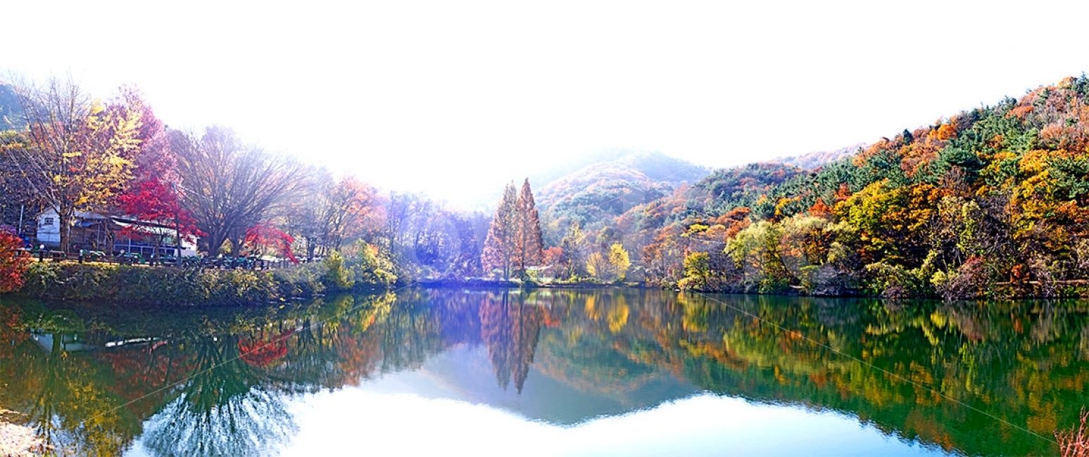 풍경,가을,저수지,단풍,파노라마,가을,계절,fall,autumn,season,자연,풍경,nature,landscape,tree,나무,plant,식물,outdoors,옥외,water,물