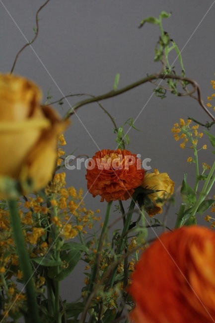 꽃,flower,blossom,장미,수국,나뭇가지,풀,식물,꽃다발,실내,꽃꽃이,꽃,flower