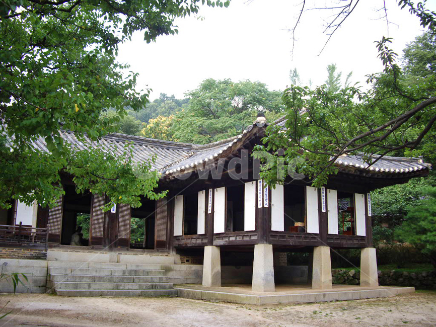 민속촌,민속마을,마당,기와집,한옥,한국전통,전통,전통마을,한국문화,보존,한국의미,옛마을,village,nature,plant,자연,풍경,식물,주거지,korean,traditional,culture,나무