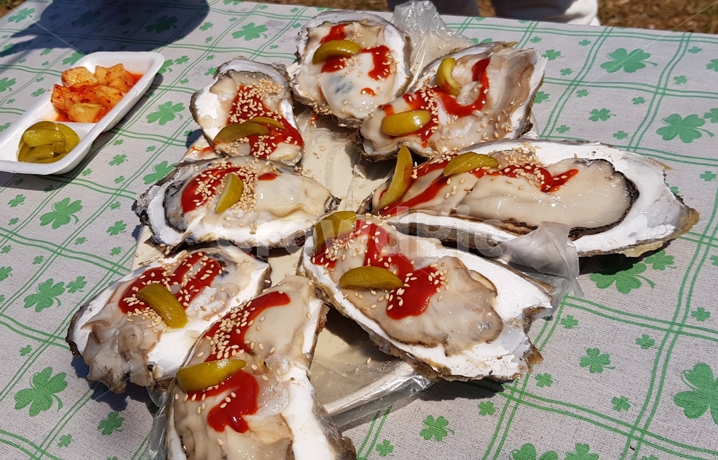 굴,석화,벚굴,생굴,한식,음식,광양굴,광양벚굴,술안주,안주,음식,식재료,요리,food,cook,meal,dishes,food reserves,수산물,해산물,fishery products,seafood