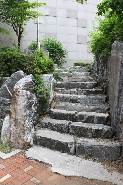 계단,돌,나무,식물,초록,stairs,stone,tree,plants,green,kaidan,ishi,ki,shokubutsu,midori,골목길,alley,path,통로,walkway,보도,flagstone,판석,slate,슬레이트,staircase