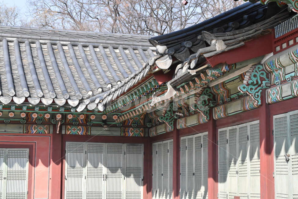 한옥,서울,한국,창덕궁,기와,랜드마크,문화유산,전통,대한민국,Korea,wooden,Koreanstylehouse,한국전통,한국문화,korean traditional,korean culture,건축물,건물외관,exterior,building,structure,architecture,construction