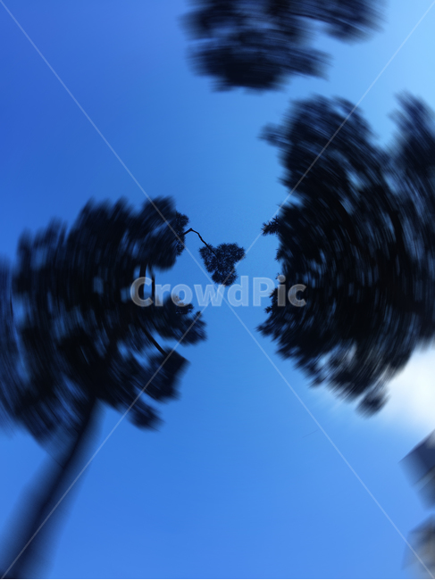 나무,하늘,하트,heart,풍경