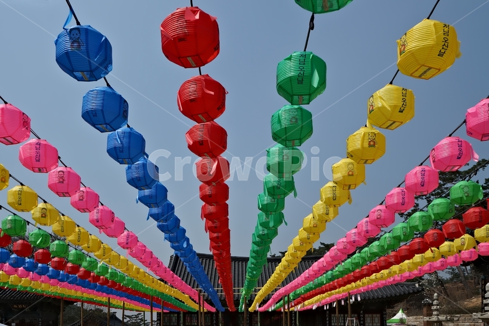 연등,불교,절,사찰,기원,종교,초파일,lamp,buddhism,temple,religion,빨강,노랑,녹색,파랑,하늘,부처님오신날,붉은색,연등불교,불구,관불,연등행사,석가탄신일,부처님,부처,빨간색,파란색,노란색,분홍색,belief,석가모니,관등,등,소원,신앙,faith,행사,축제,festival,event,carnival,종교행사,한국전통,한국문화,전통문화,등공양,인등,기념일,색깔,패턴,종교문화,koreanculture,koreantraditional,기와,지붕,흰색등,불교행사,법회,종교,신앙,religion,belief,faith,축제,행사,festival,carnival,event