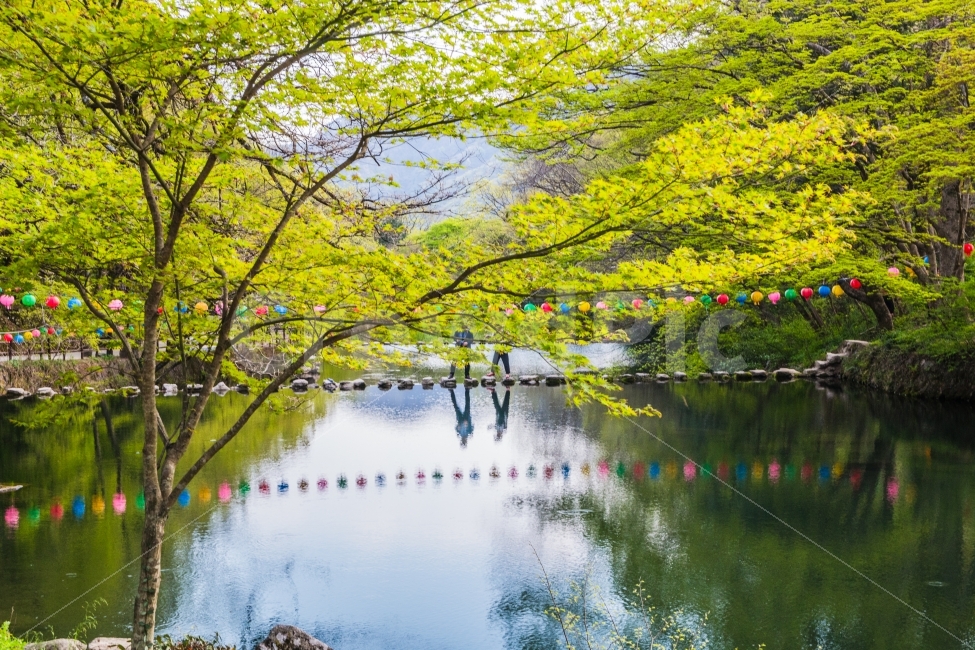풍경,산,봄,계곡,사찰,절,자연,풍경,nature,landscape,종교,신앙,religion,belief,faith,water,물,outdoors,옥외,land,땅
