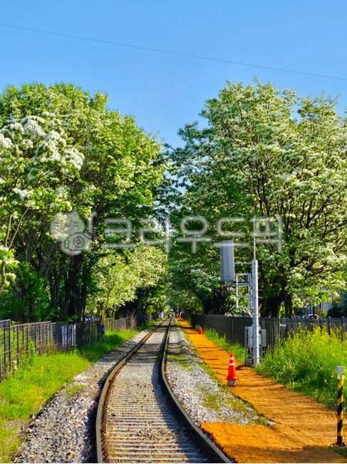 기찻길,track,이팝나무,fringetree,자갈,도로,야외,옥외,자연,풍경,배경,계절,봄,여름,나무,식물,기차,하늘,road,outdoors,nature,naturelandscape,gravel,season,spring,summer,sky,배경화면,바탕화면,감성바탕화면