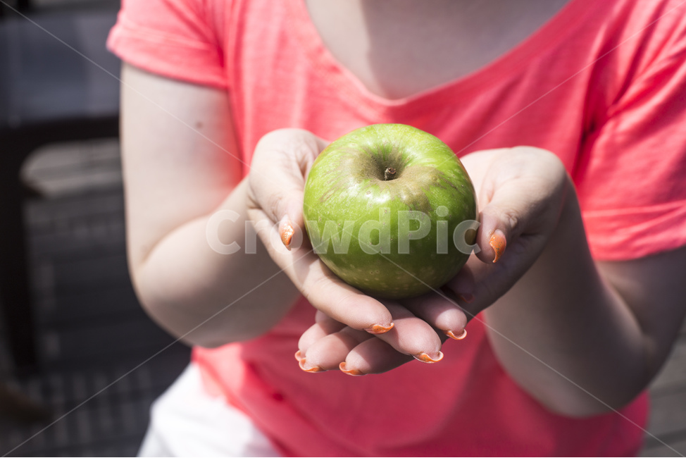 사과,과일,아오리,아오리사과,초록사과,청사과,풋사과,녹색,열매,사람,손,여자