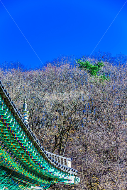 단청,사찰,문양,무늬,선,패턴,한국전통,한국문화,korean traditional,korean culture,건축물,건물외관,exterior,building,structure,architecture,construction