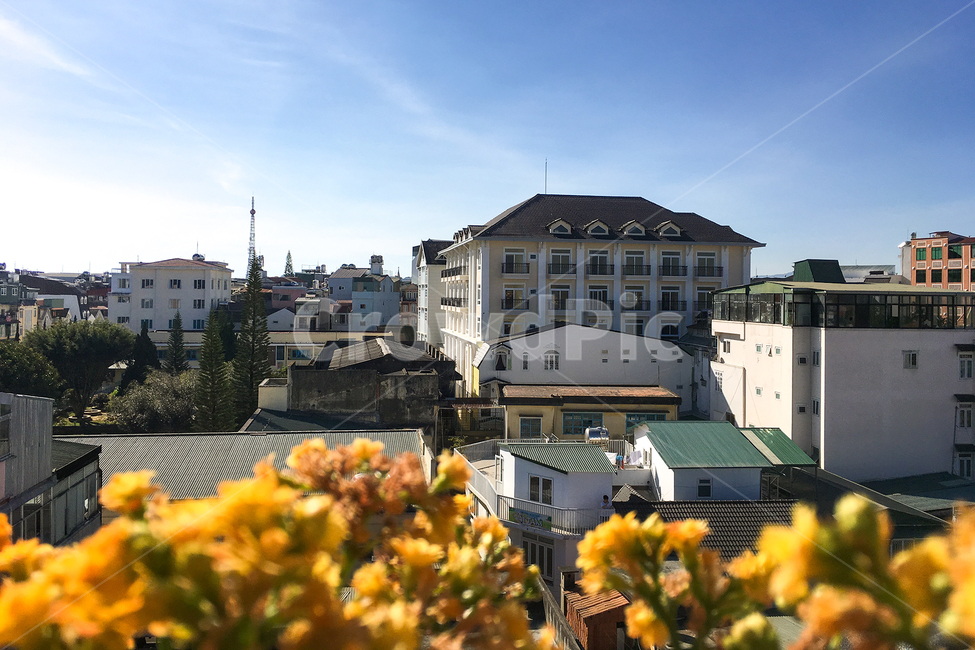 베트남,달랏,달랏거리,dalat,vietnam,전경,건물,꽃,아침,도시,도시,풍경,city,landscape