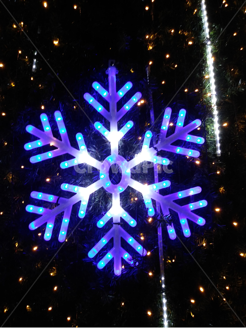 tree,나무,christmastree,크리스마스트리,ornament,장식,plant,식물,눈,빛