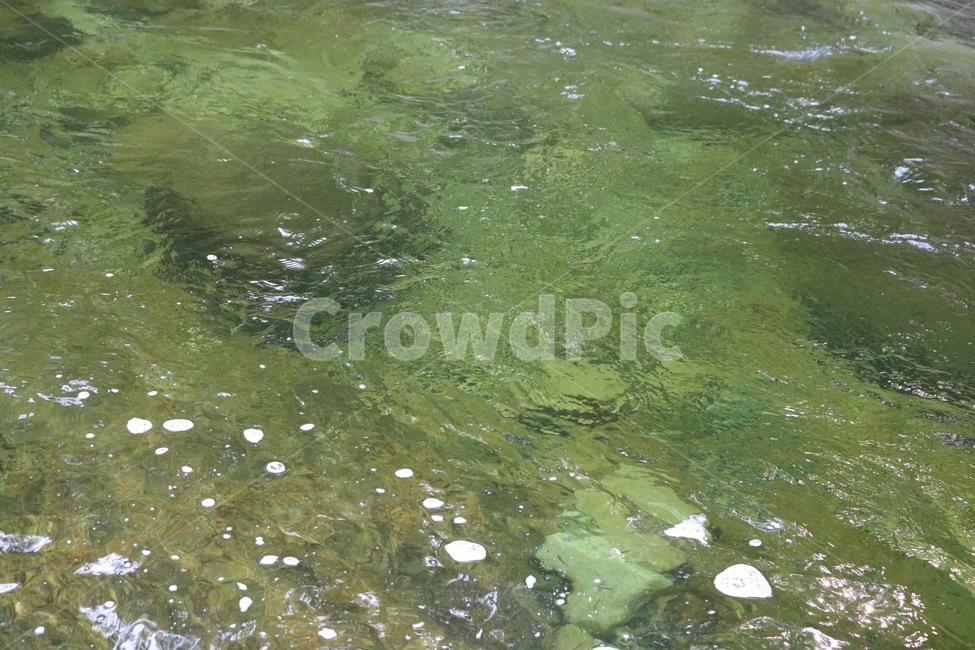 여름,휴가,계곡,물,돌,바위,summer,natsu,vacation,kyuuka,valley,keikoku,water,mizu,stone,ishi,rock,iwa,자연,풍경,nature,landscape