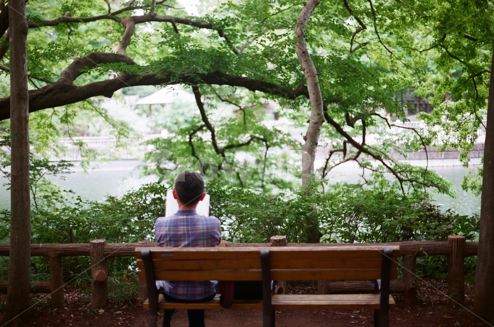 책읽는사람,green,뒷모습,독서,human,인간,person,사람,sitting,좌석,bench,벤치,furniture,가구,tree,나무,plant,식물,사람,인물,인간,human,person,남성,남자,man,male