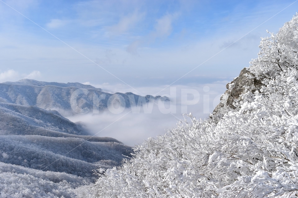 Famous winter mountain,A national park,blue sky,snow scene,Yeongdong,snow scenery,commercial high school,frost flower,100 famous mountains,Sobaeksan Mountain,snow,winter fairy tale,snowflake scenery,winter landscape,landscape