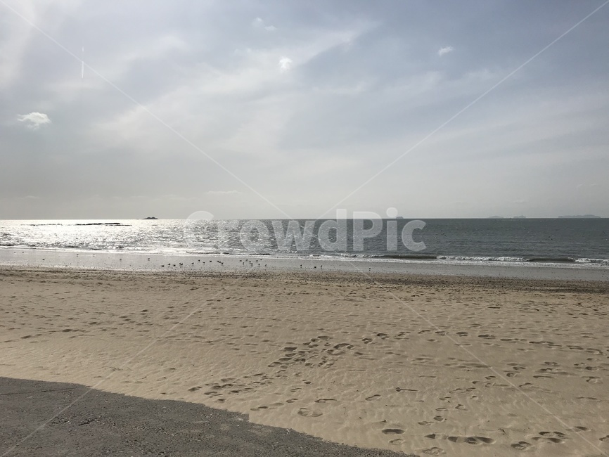 바다,해변,대천,대천해수욕장,모래사장