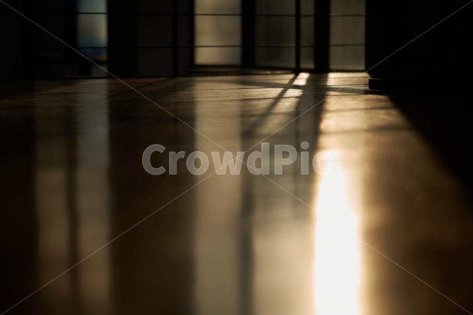 flooring,floor,바닥,가을햇살,햇살