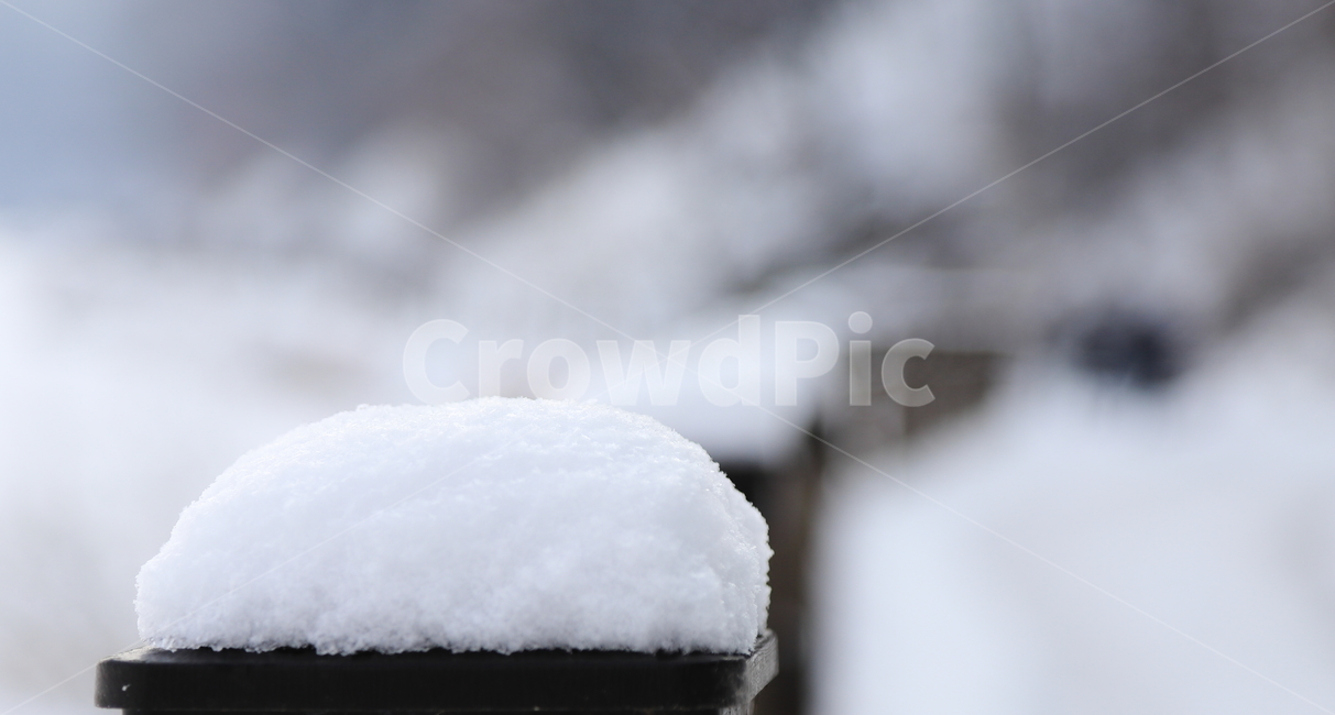 눈,snow,겨울,햐얀눈,설경,폭설,소복히,겨울,계절,winter,season