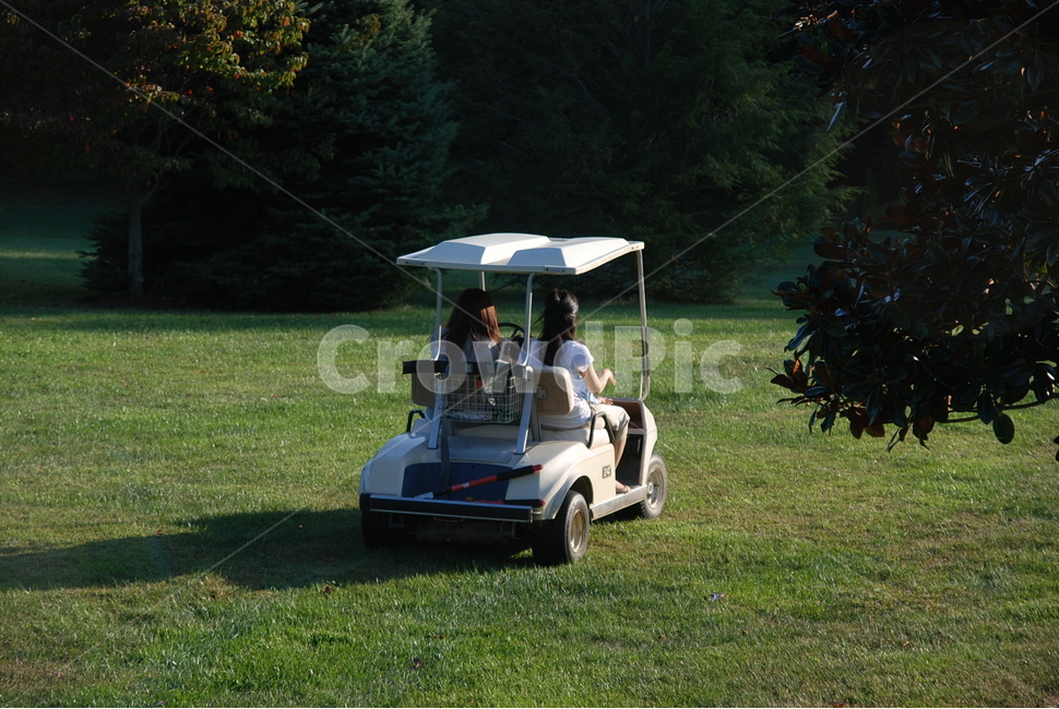 미국,america,잔디,vehicle,차량,grass,숲,bush,golfcart,골프카트,사람,친구,빛,그림자,푸른,human,people,person,friend,shade,shadow,green,white,초록,하얀,운전,drive,사람,인물,인간,human,person,여성,여자,woman,female,lady,스포츠,레저,운동,sports,leisure,exercise