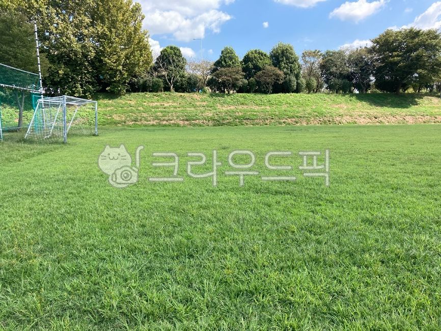 축구골대,잔디구장,풋살장,야외풋살장,풋살,field,들,outdoors