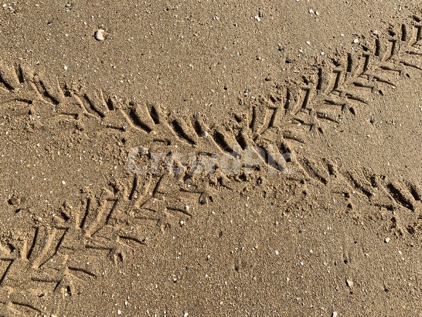 모래,ground,바닥,자연,sand,바닷가,바퀴모양,바퀴자국,해변,바다,beach,sea