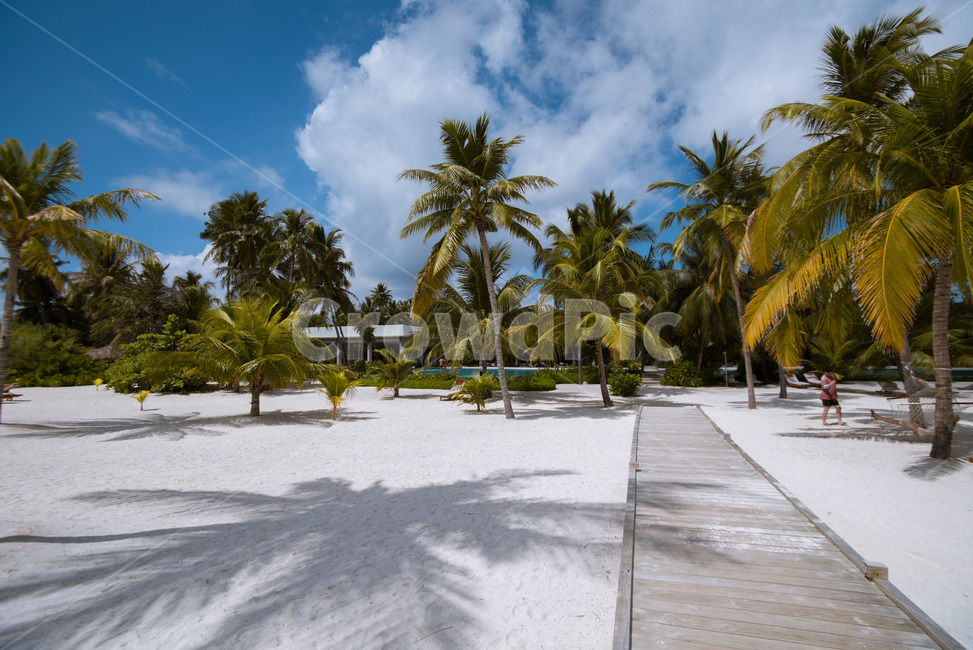 몰디브,maldives,바다,풍경,sea,하늘,자연,풍경,nature,landscape,해변,바다,beach,sea,해외,외국,세계,foreign,oversea,world,세계자연풍경,해외자연풍경,외국자연풍경,world nature landscape,summer,여름