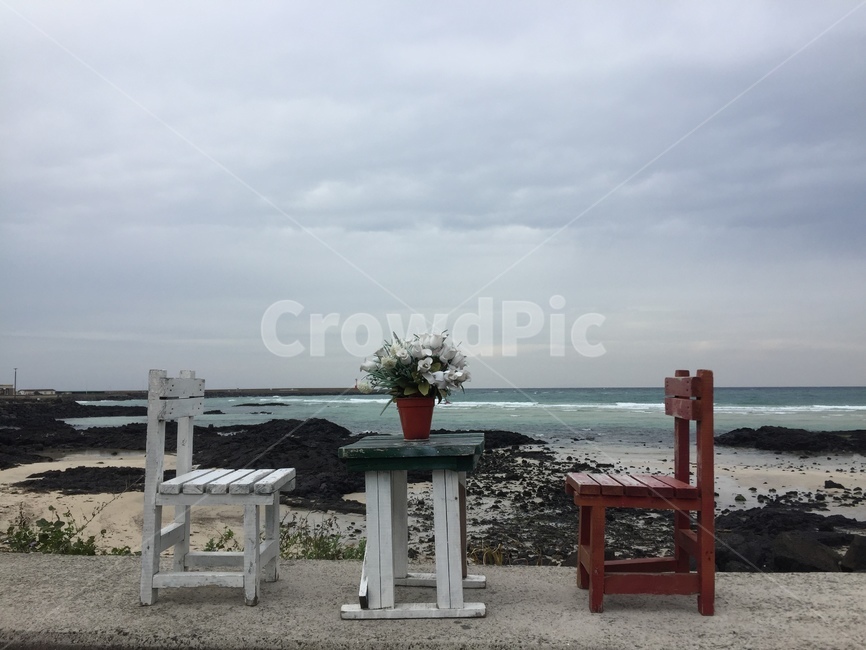 우울,흐린날,기다림,빈자리,슬픔,제주도,jeju,jeju island,plant,식물