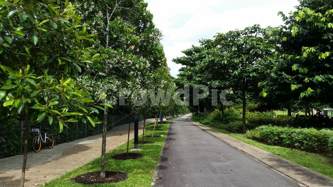 garden,정원,outdoors,옥외,공원,park,산책로,walkingtrail,싱가폴,싱가포르,singapore