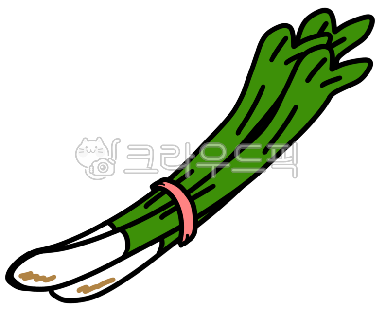 food, 음식, 대파, 파, 채소, 사진,이미지,일러스트,캘리그라피 - 신박부부작가