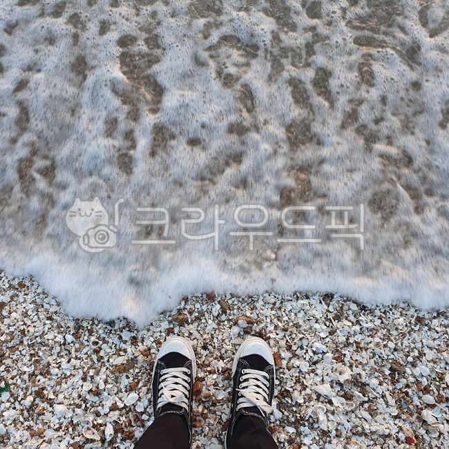 바다,발,바닷가,해변,해변가,파도,해안,해수욕장,거품,조개껍데기,beach,sea,ocean,seaside,shell,wave,nature