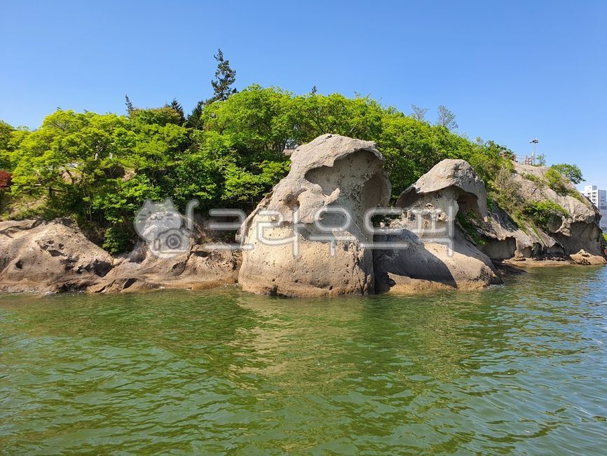 갓바위,목포갓바위,식물,꽃,plant,목포,nature,자연,outdoors,옥외,shoreline,해안선,water,바다,ocean,대양,coast,해안