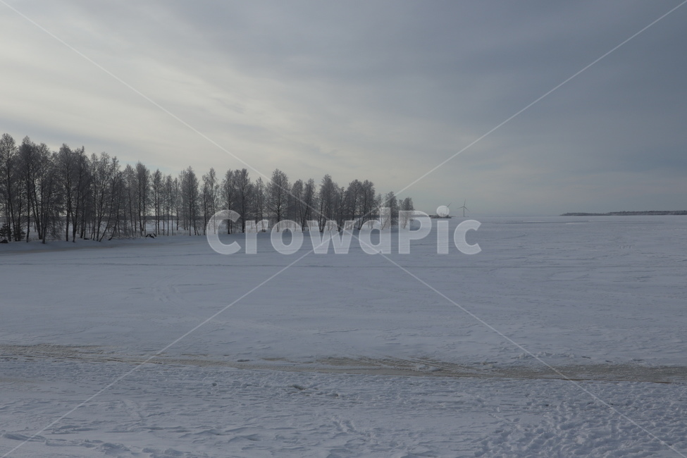겨울,winter,겨울풍경,눈,snow,나무,tree,전나무,자연,겨울,계절,winter,season,자연,풍경,nature,landscape