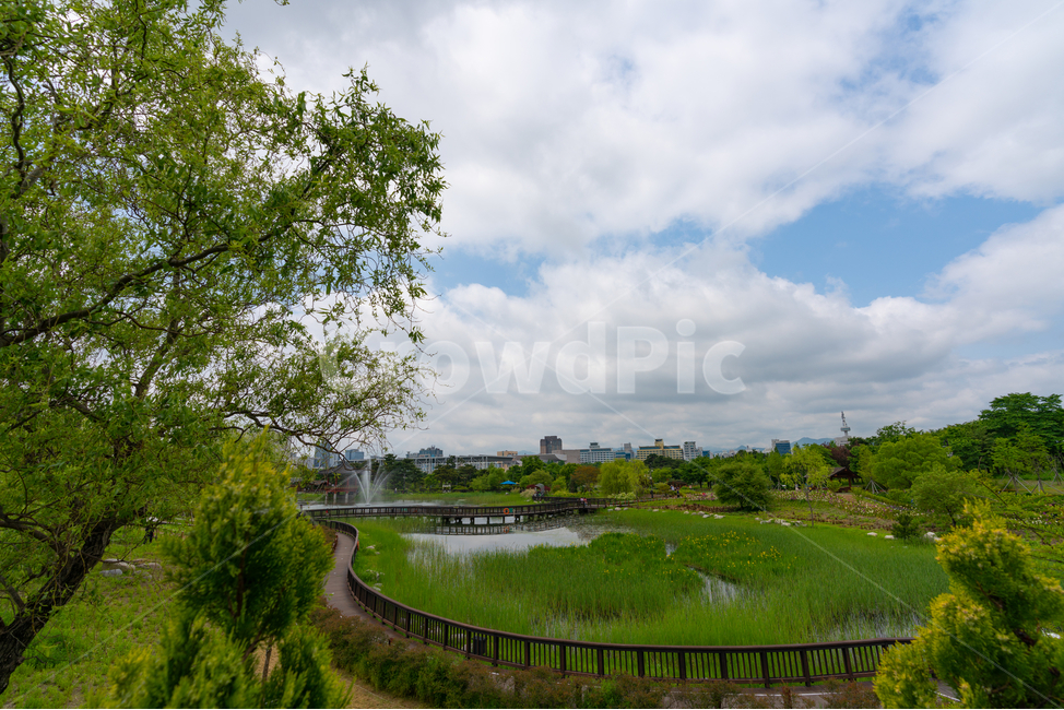 산책로,풍경,landscape,하늘,구름,나무,tree,cloud,호수,자연,풍경,nature,landscape,한국자연풍경,한국자연경관,korea nature landscape,outdoors,옥외,plant,식물,grass,잔디