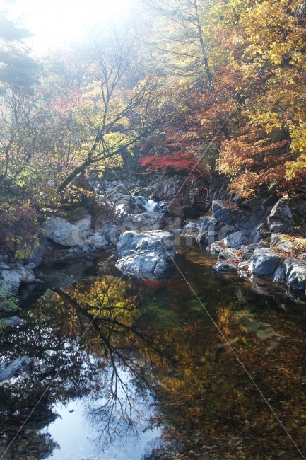 방태산,계곡,단풍,반영,가을,추색,바위,나무,가을,계절,fall,autumn,season,자연,풍경,nature,landscape,한국자연풍경,한국자연경관,korea nature landscape,water,물,outdoors,옥외,creek,작은 만,stream,흐름